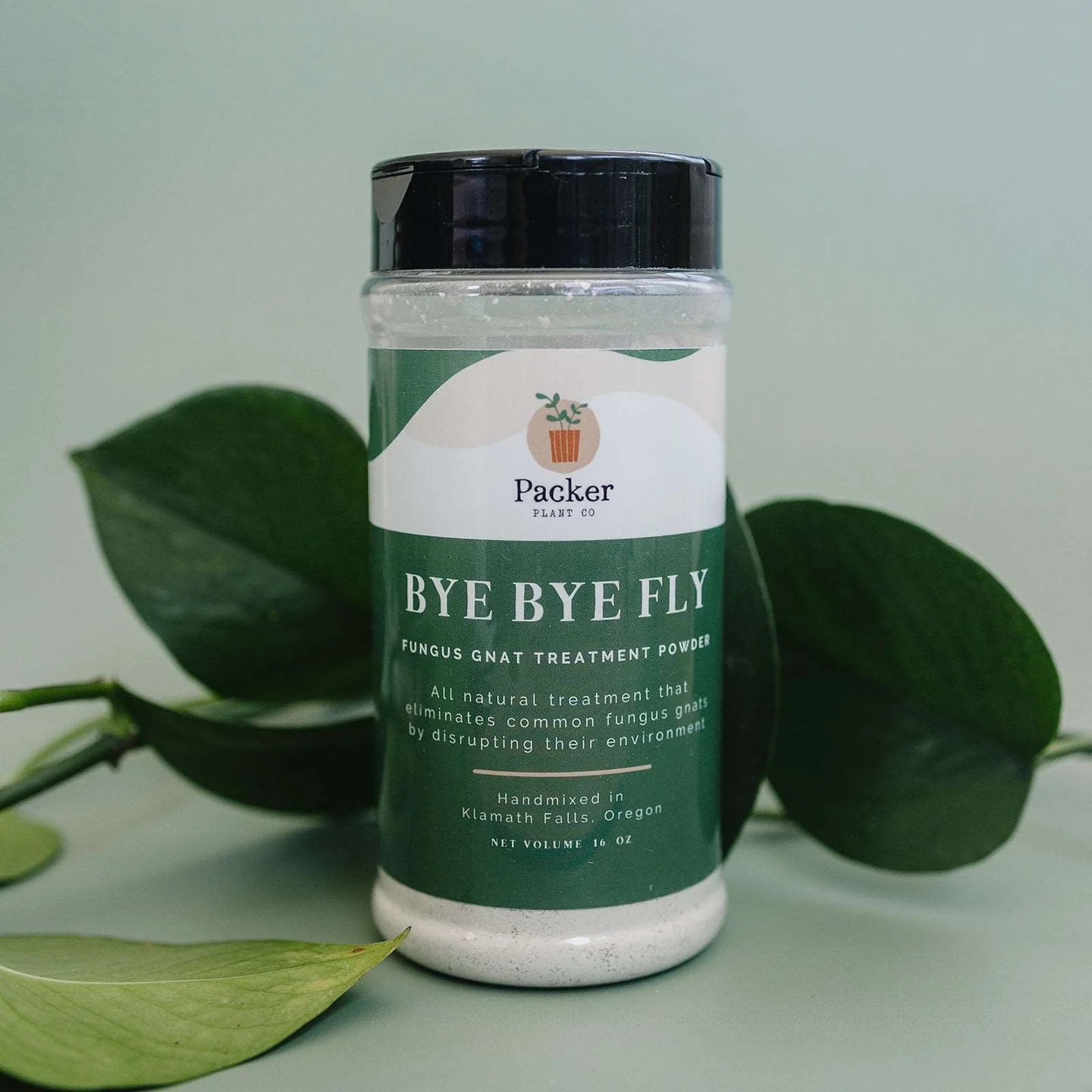 Fungus Gnat Treatment