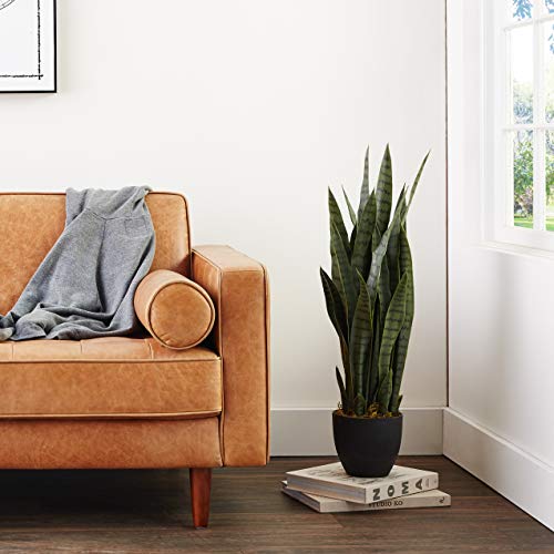 Nearly Natural Sansevieria & Black Planter