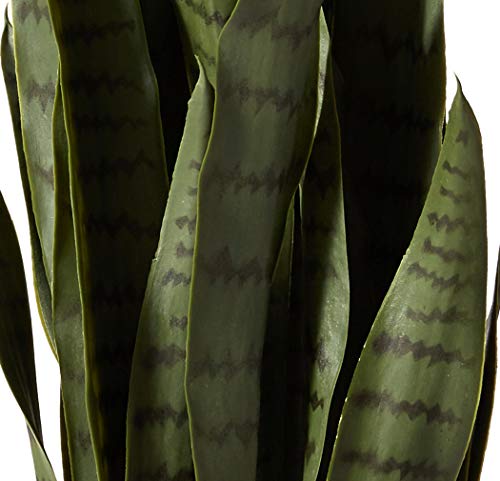 Nearly Natural Sansevieria & Black Planter