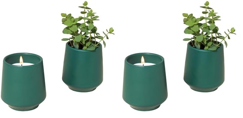 Modern Sprout Rooted Candle - 2 in 1 Scented Soy Candle with Seeds