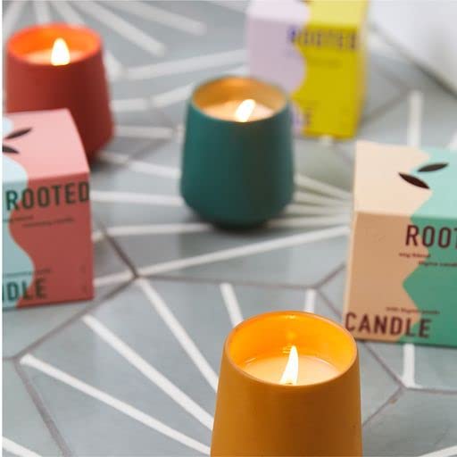 Modern Sprout Rooted Candle - 2 in 1 Scented Soy Candle with Seeds