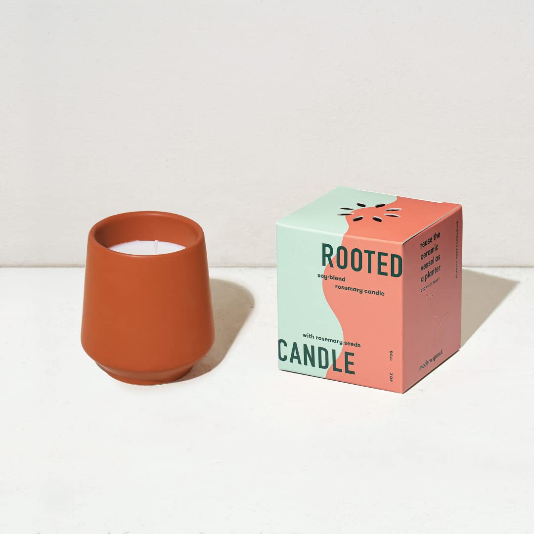 Modern Sprout Rooted Candle - 2 in 1 Scented Soy Candle with Seeds