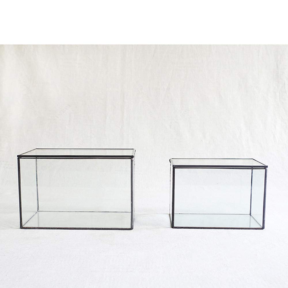 Glass Terrarium with Lid
