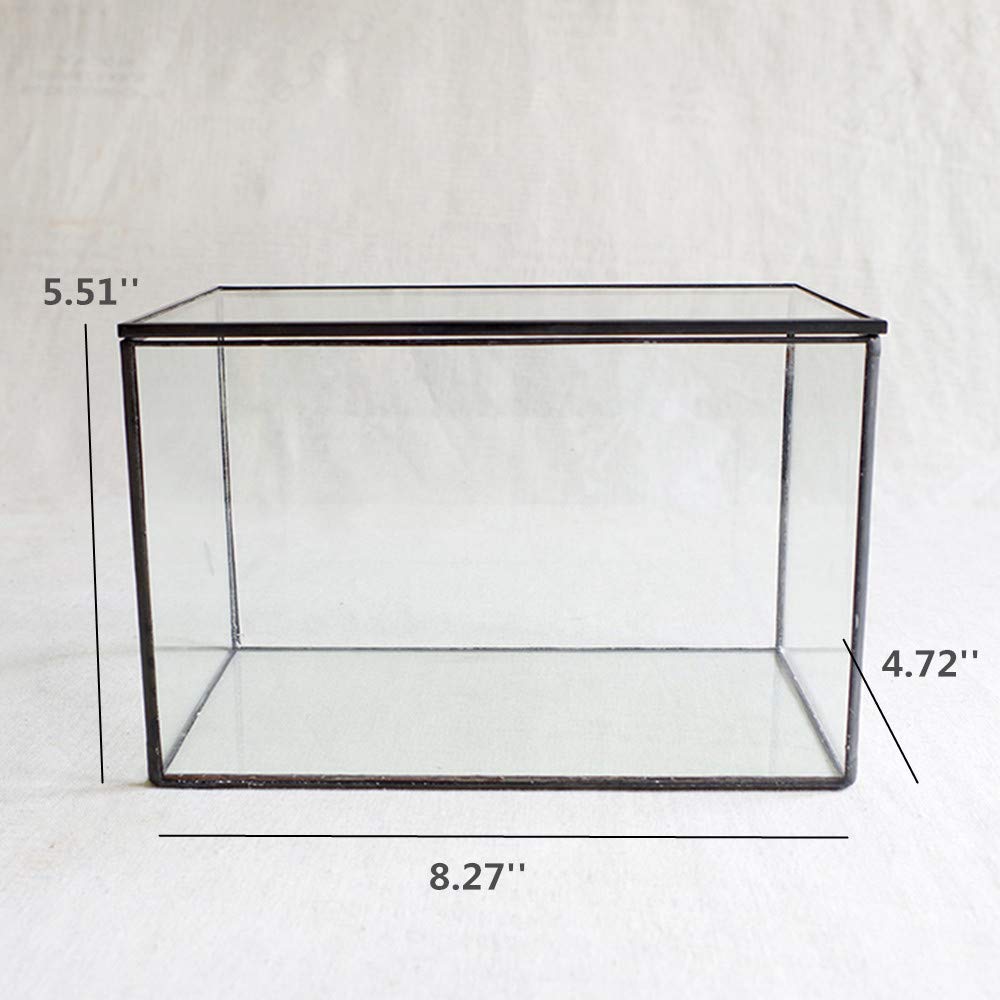 Glass Terrarium with Lid
