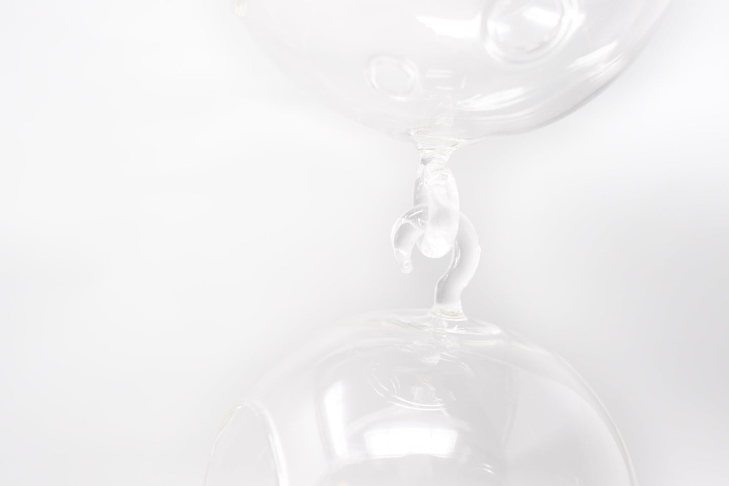 Double Hook Terrariums with Air Plants (Set 3)