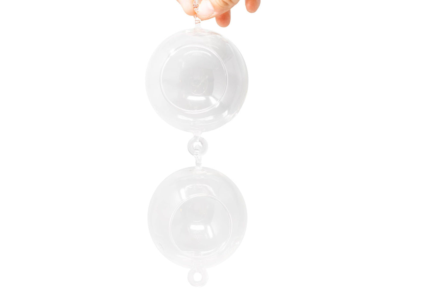 Double Hook Terrariums with Air Plants (Set 3)