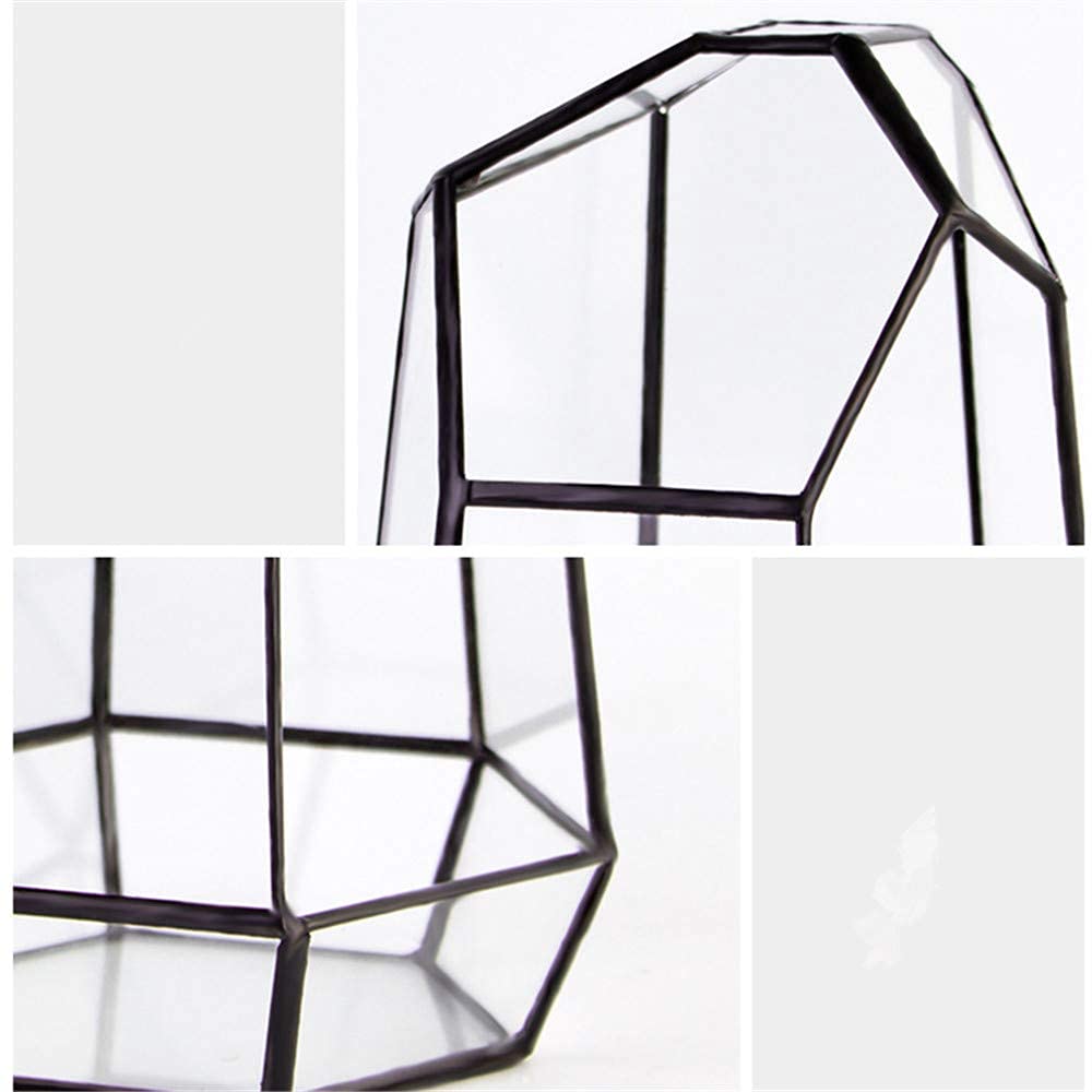 Glass Terrarium with Lid