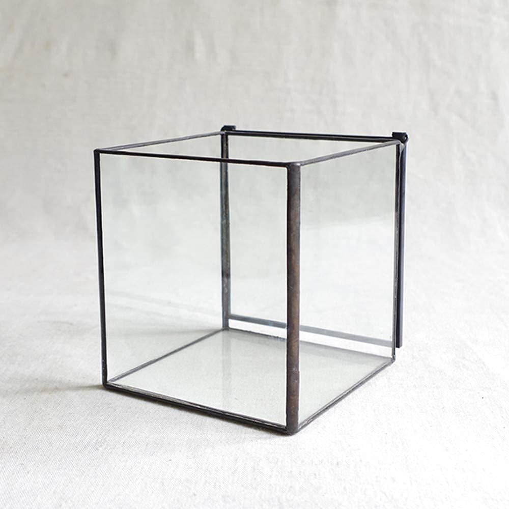 Glass Terrarium with Lid