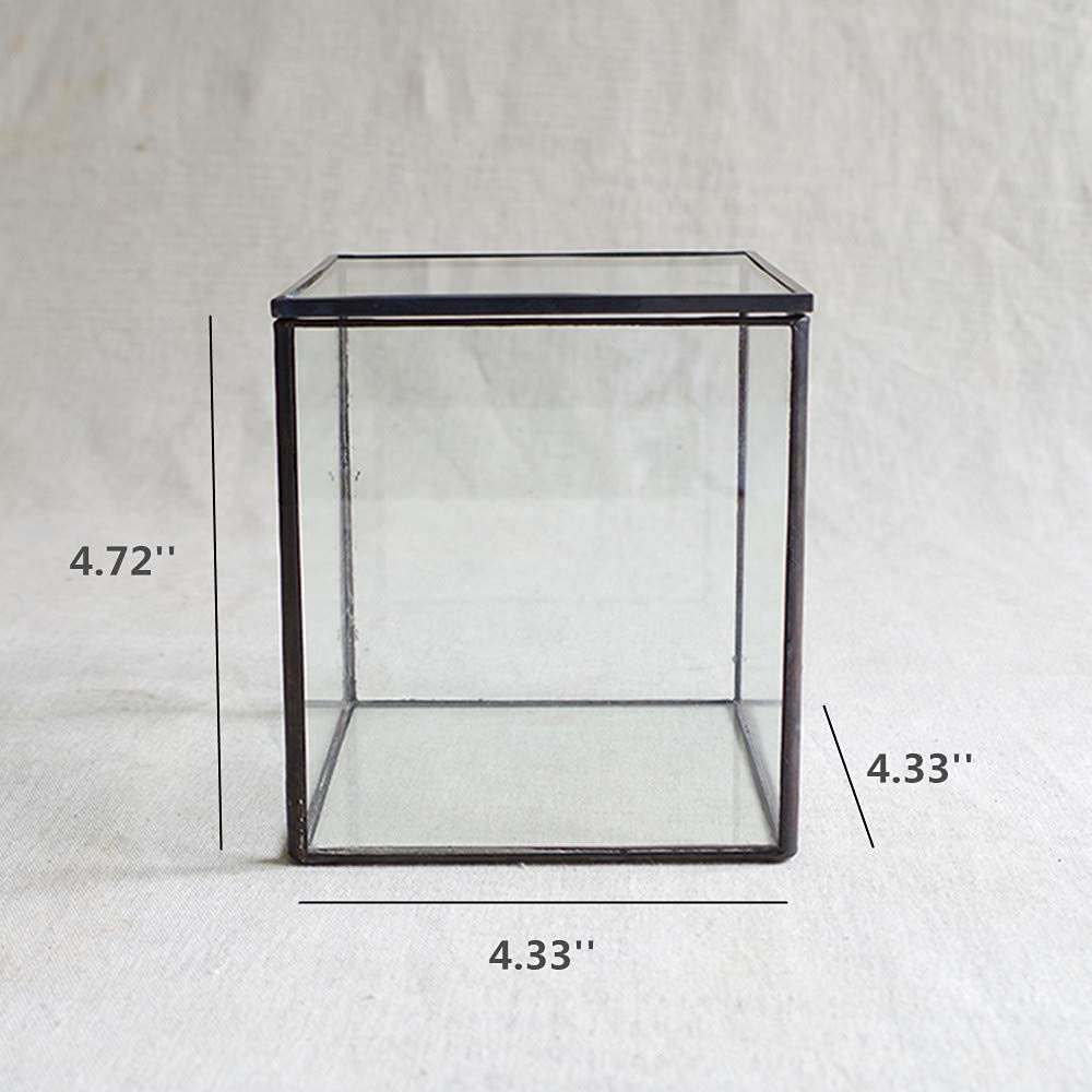 Glass Terrarium with Lid
