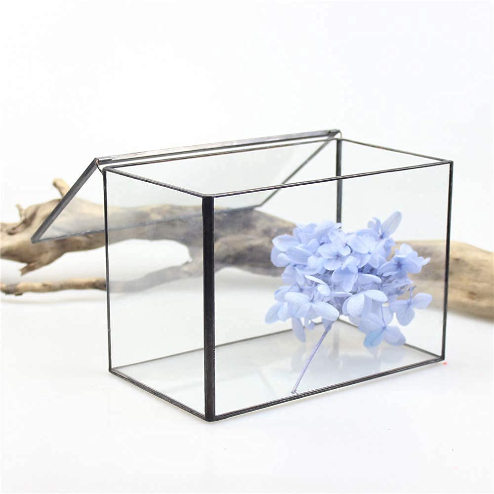 Glass Terrarium with Lid