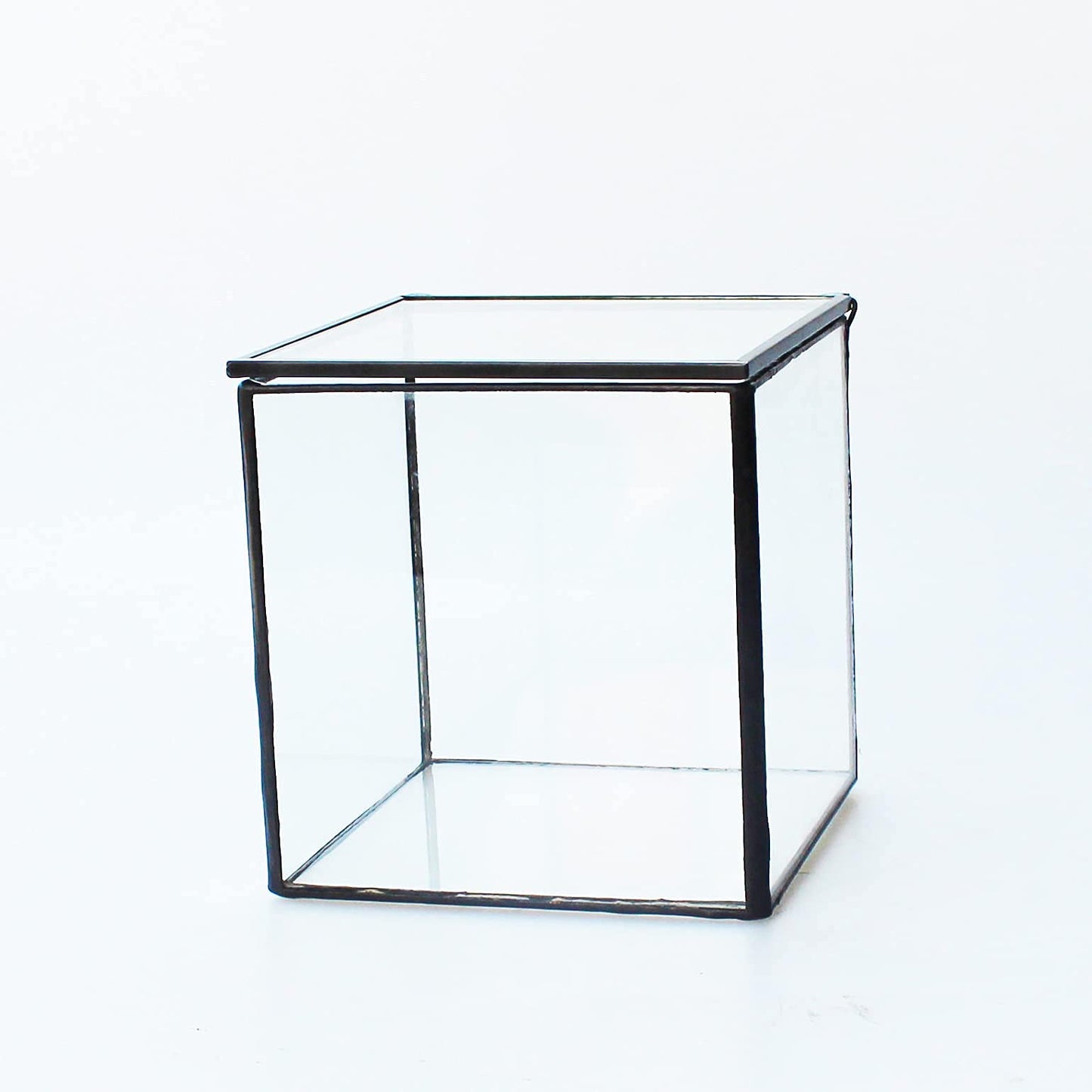 Glass Terrarium with Lid