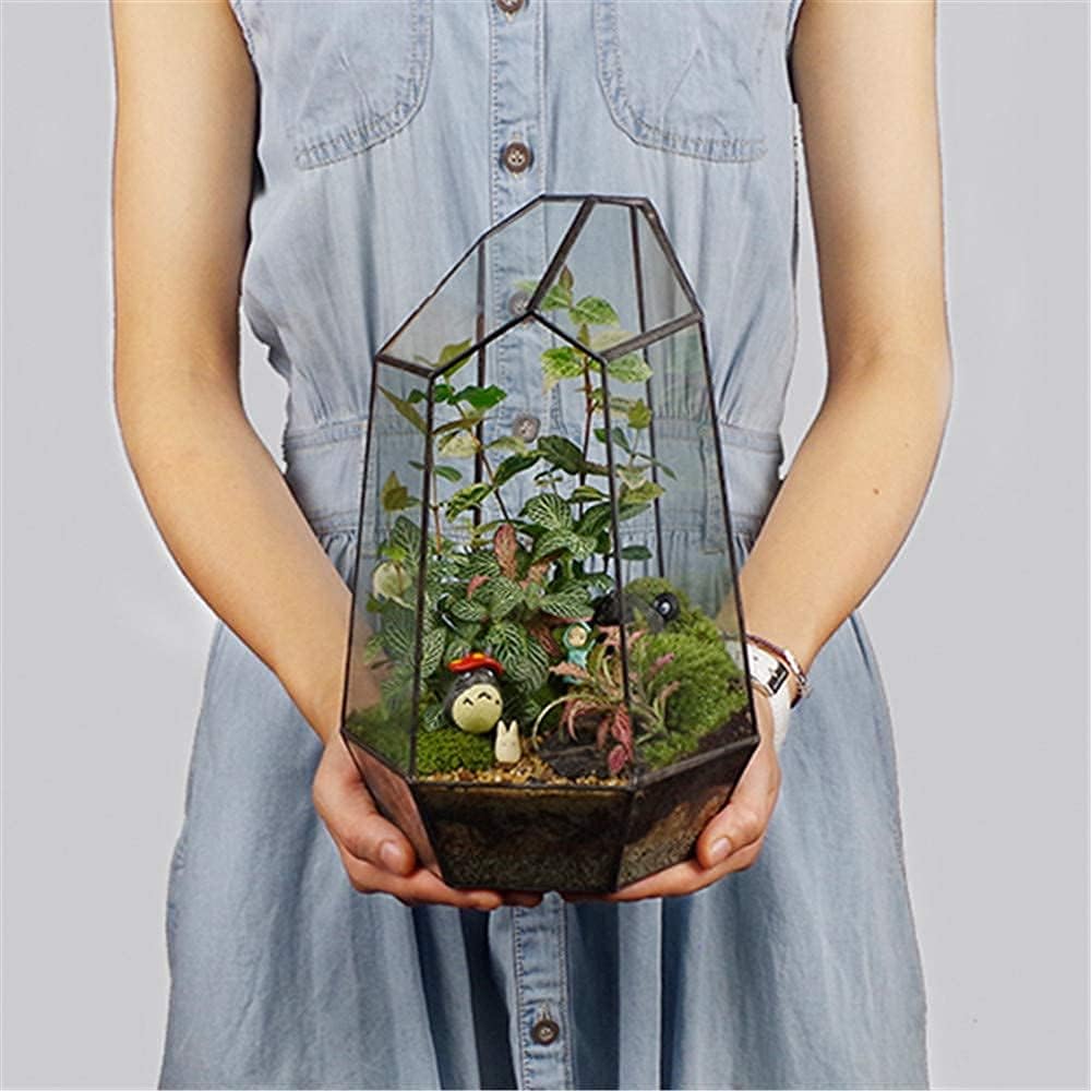 Glass Terrarium with Lid