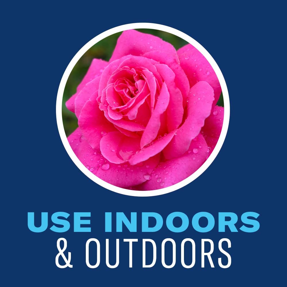 BioAdvanced Houseplant Insect & Mite Control