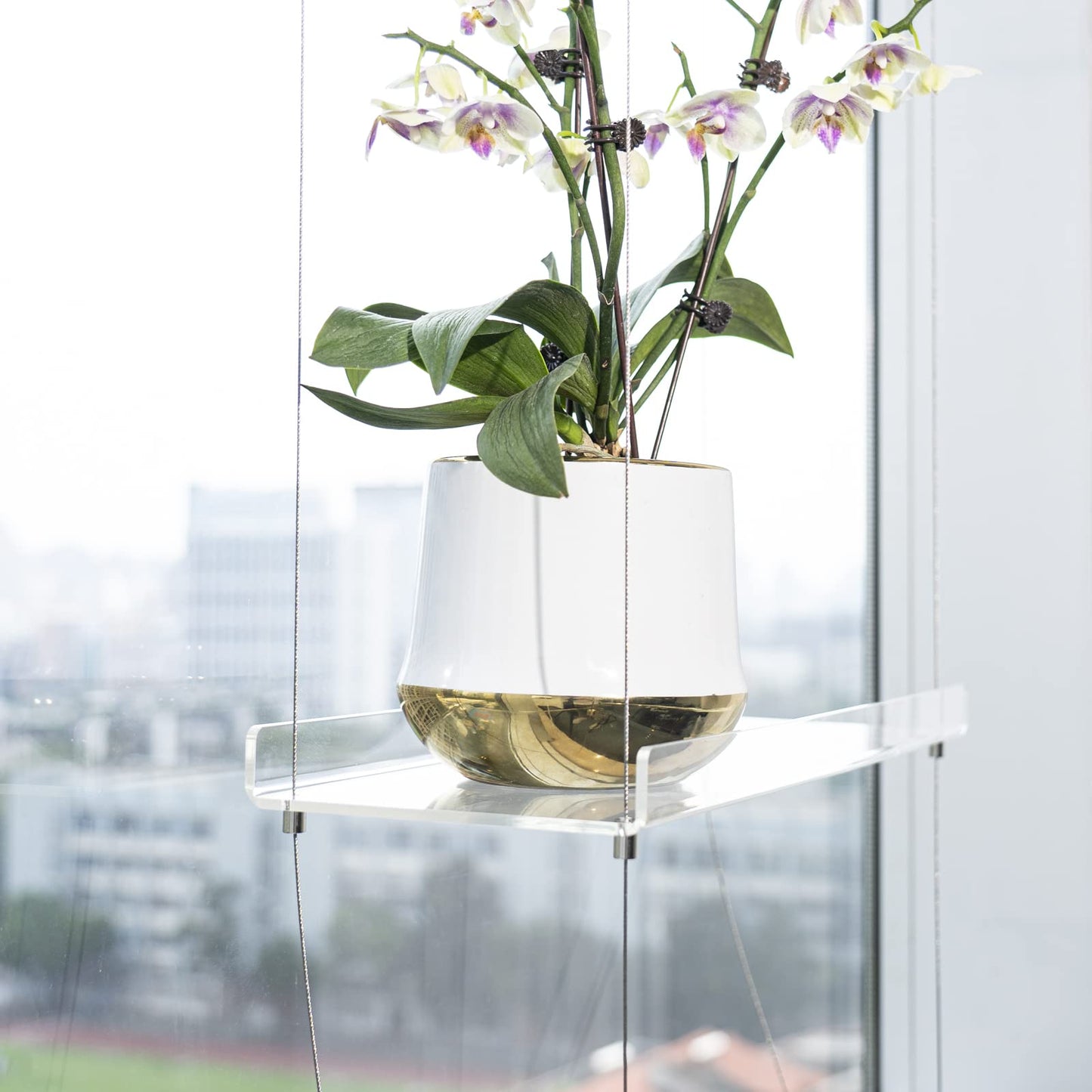 Acrylic Window Shelves