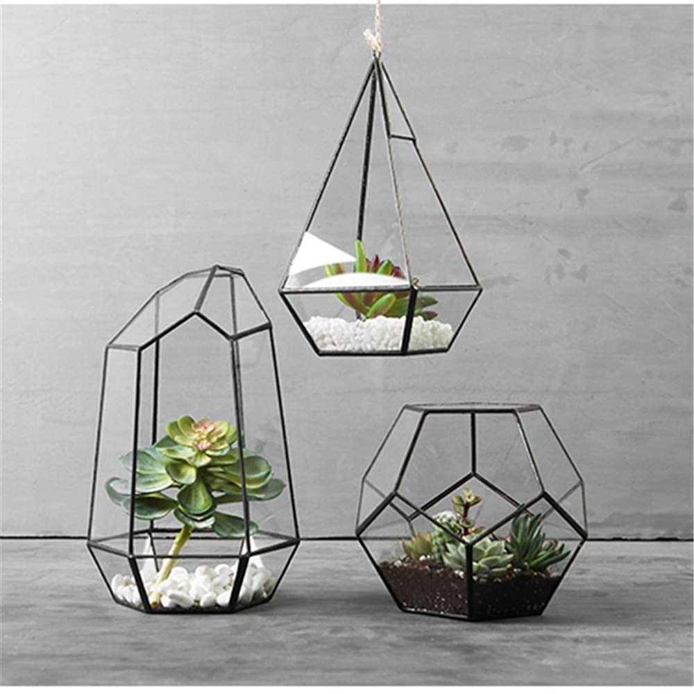Glass Terrarium with Lid