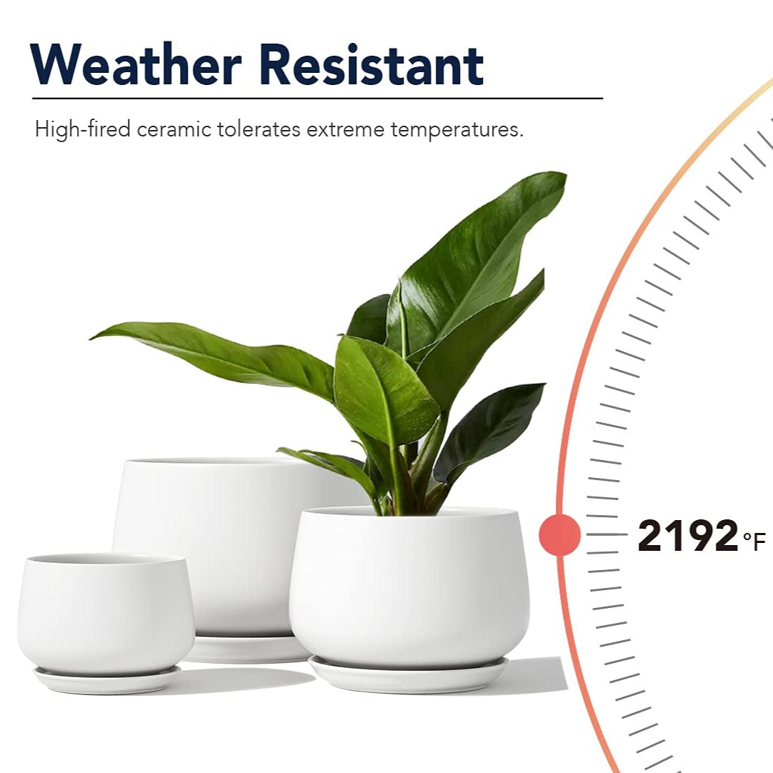 Ceramic Planter Set