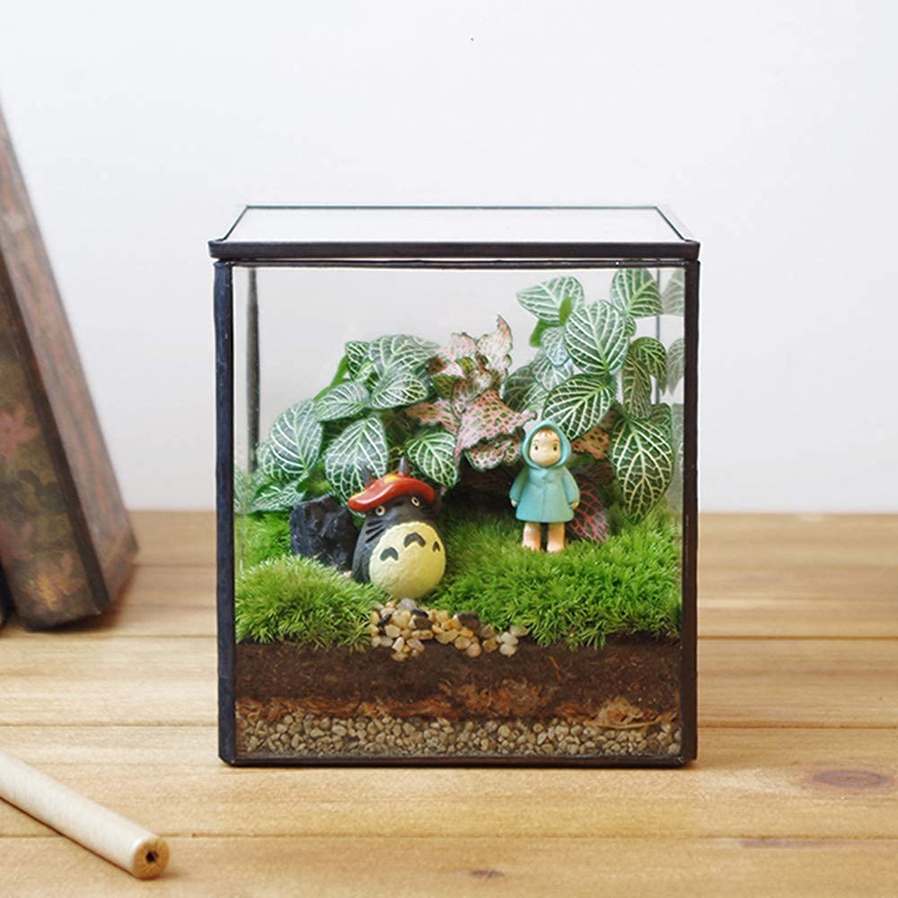 Glass Terrarium with Lid