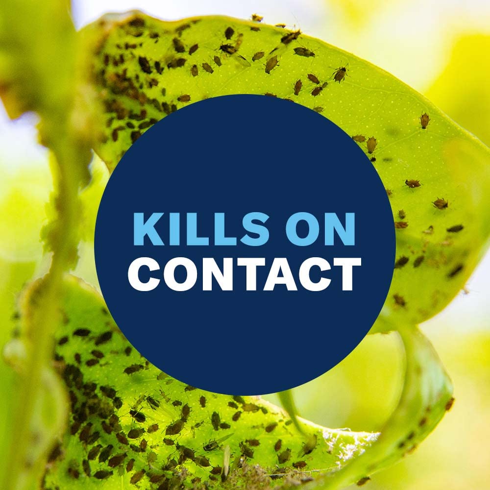 BioAdvanced Houseplant Insect & Mite Control