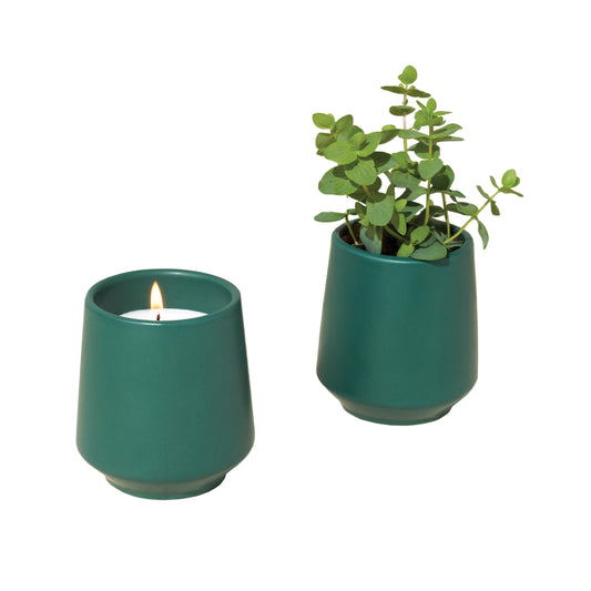 Modern Sprout Rooted Candle - 2 in 1 Scented Soy Candle with Seeds