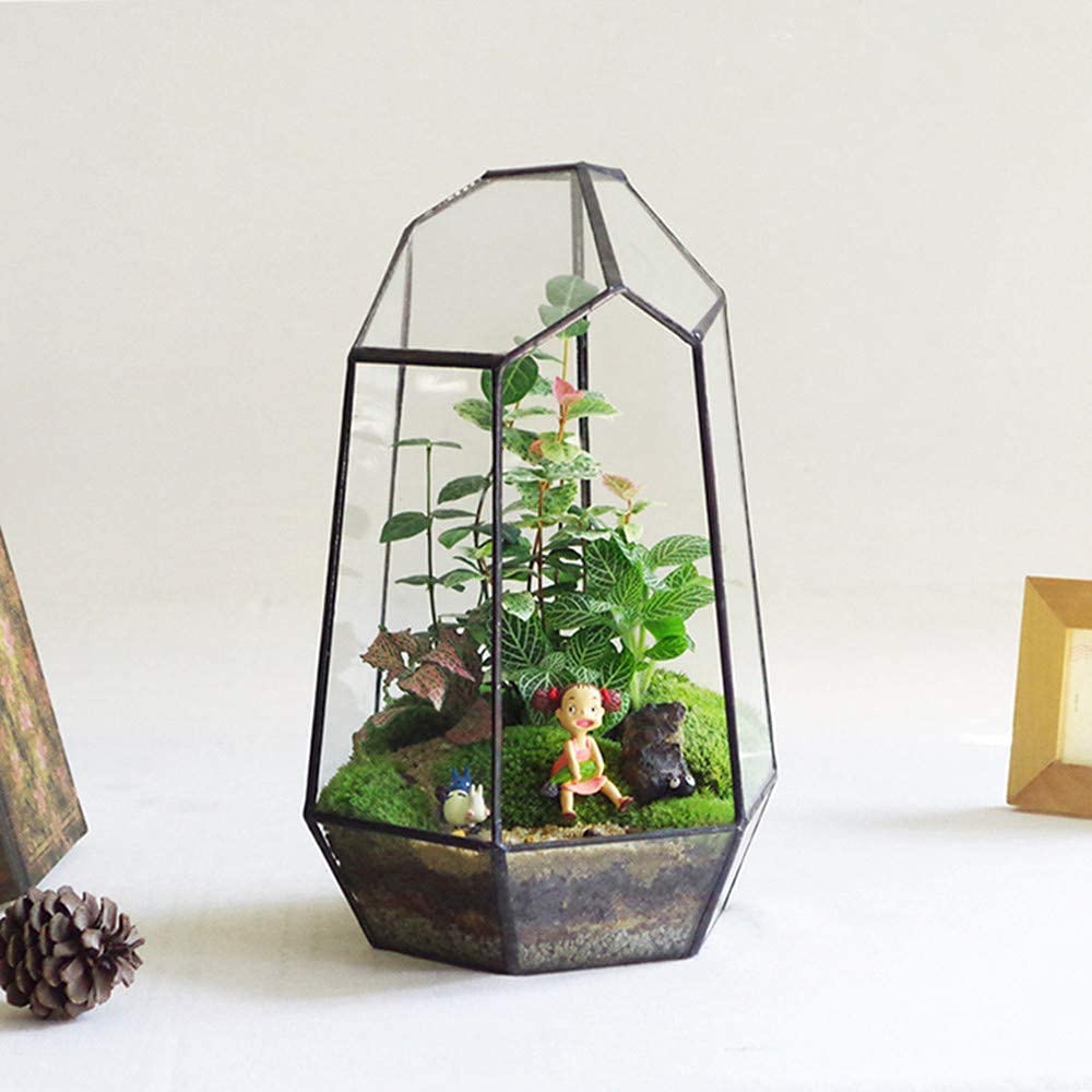 Glass Terrarium with Lid
