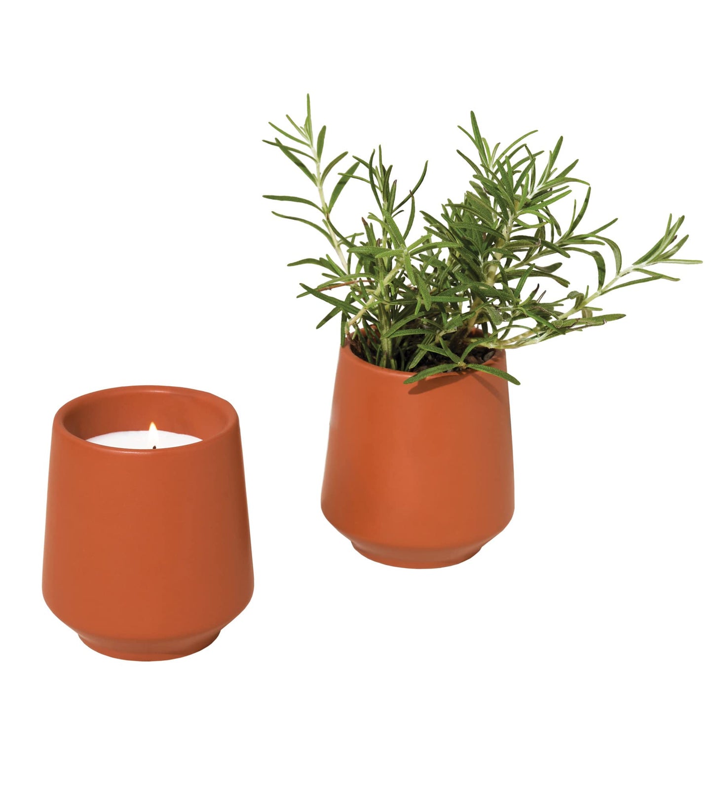 Modern Sprout Rooted Candle - 2 in 1 Scented Soy Candle with Seeds