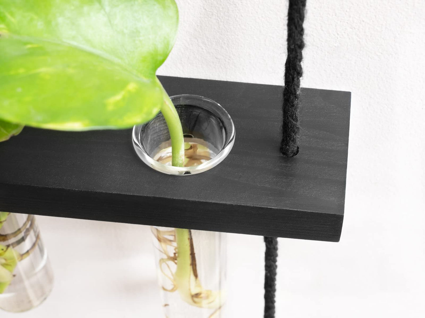 Wall Hanging Plant Propagation Station