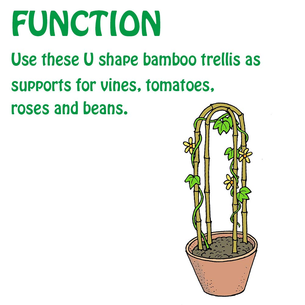 Bamboo Arch Trellis - 3 PACK