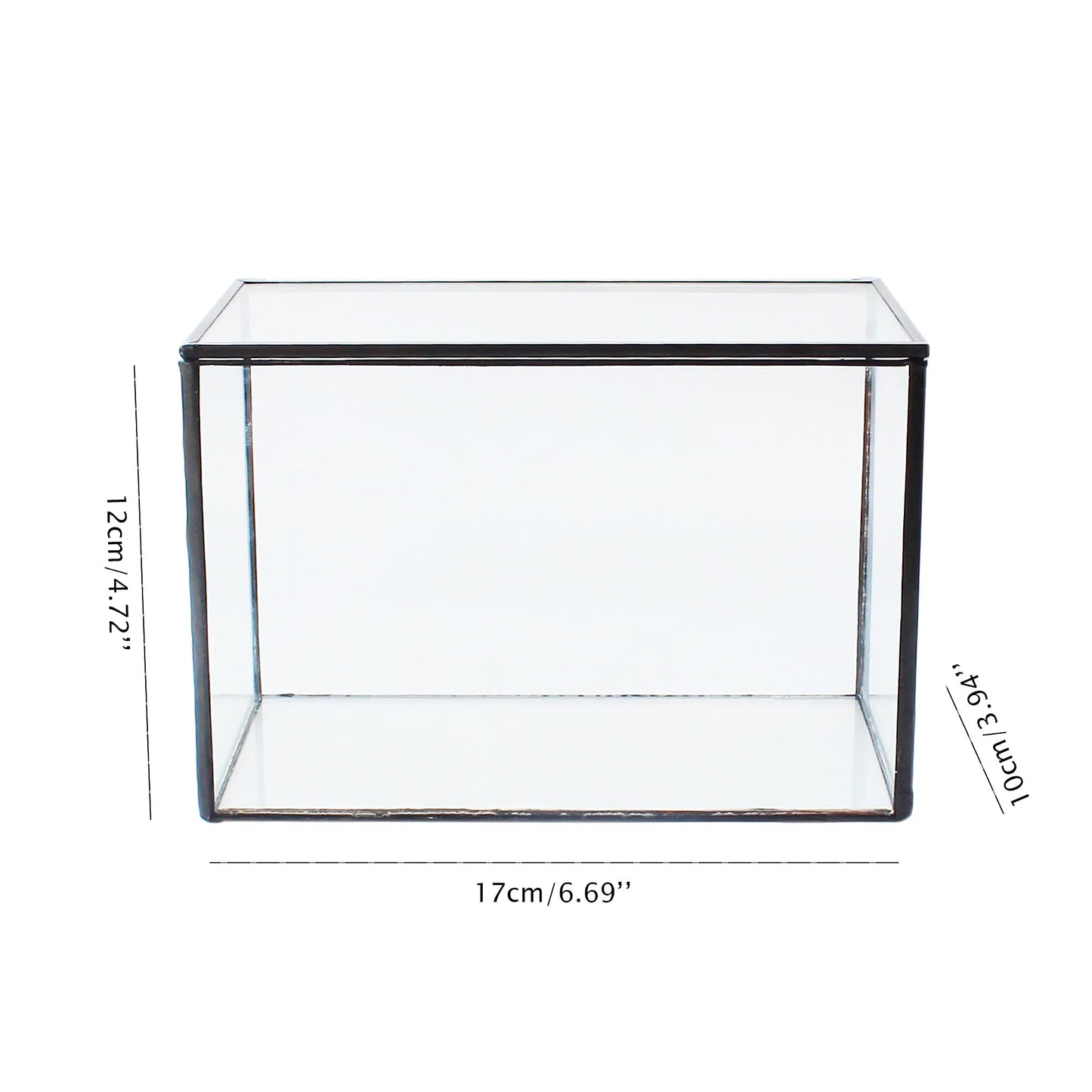 Glass Terrarium with Lid