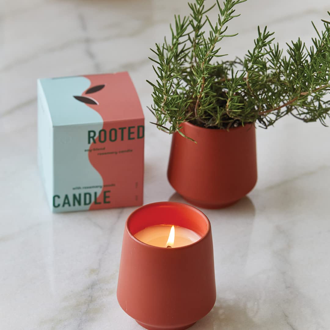 Modern Sprout Rooted Candle - 2 in 1 Scented Soy Candle with Seeds