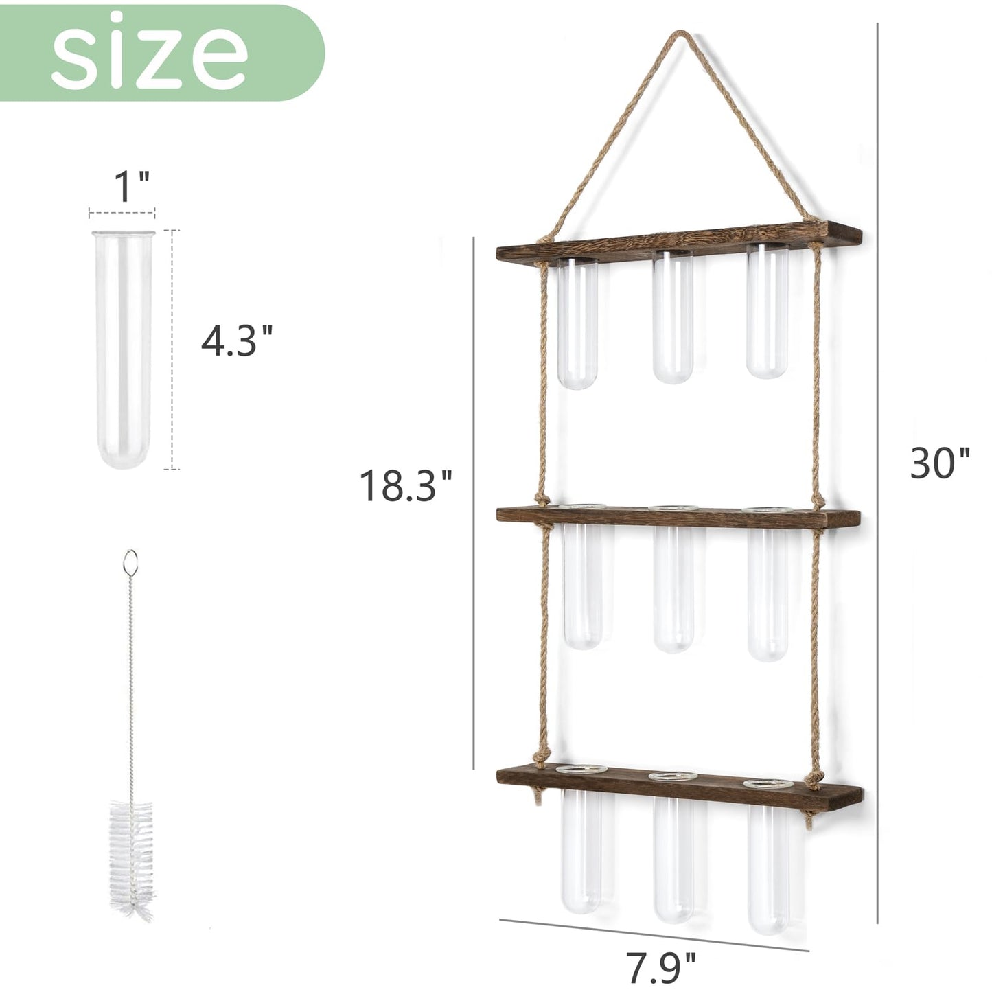 Wall Hanging Plant Propagation Station