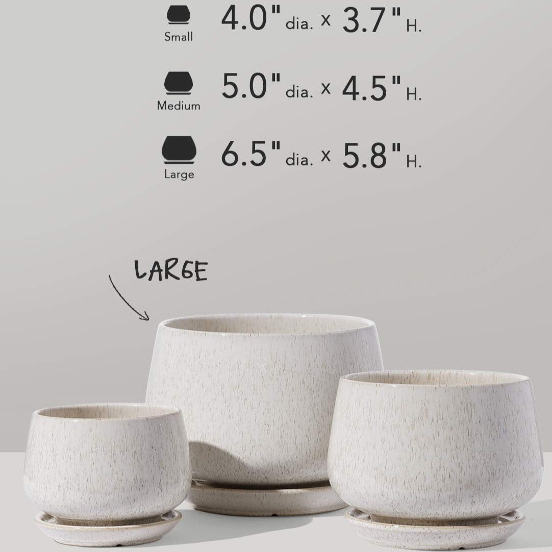 Ceramic Planter Set