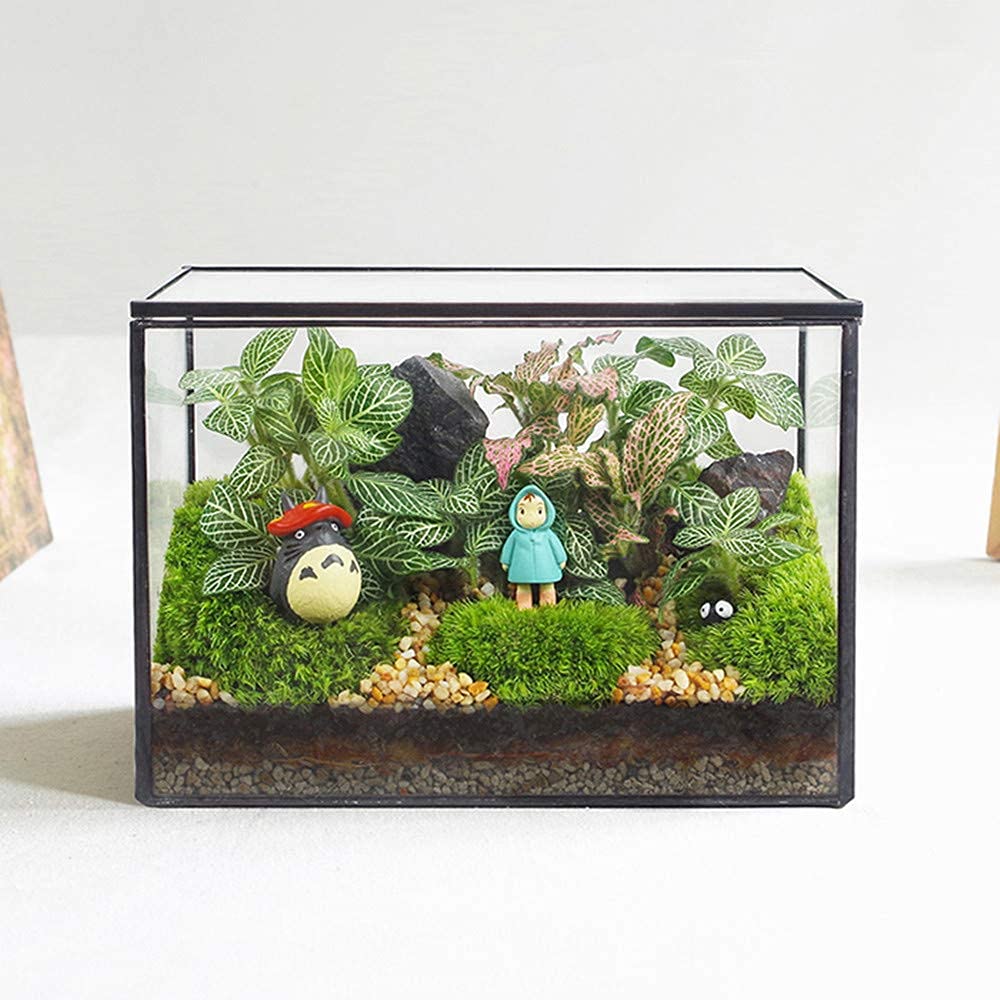 Glass Terrarium with Lid