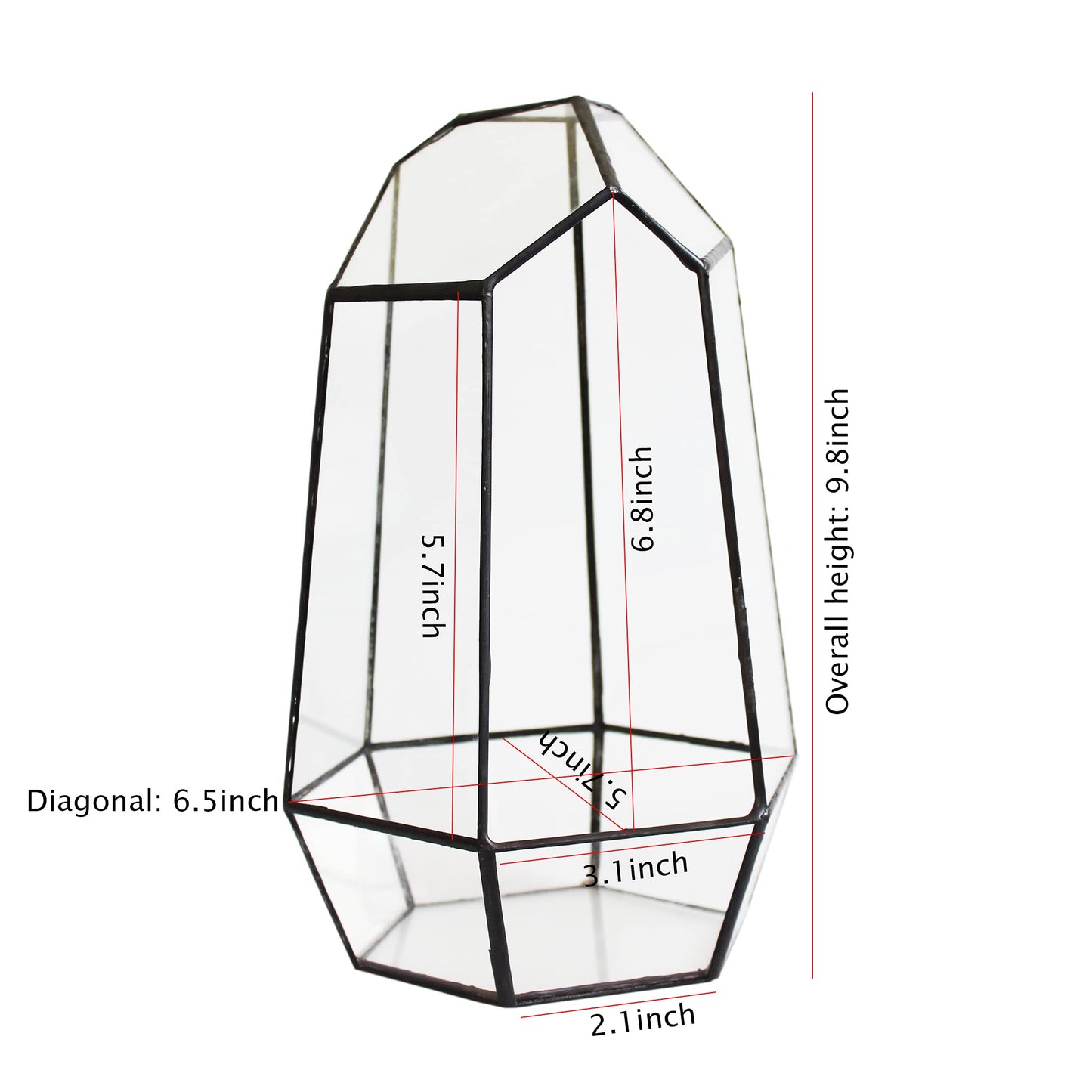 Glass Terrarium with Lid