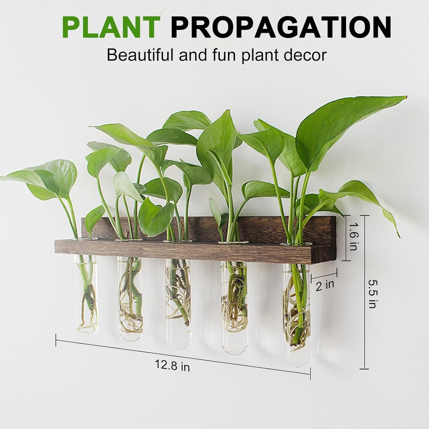 Plant Propagation Station - SET OF 3