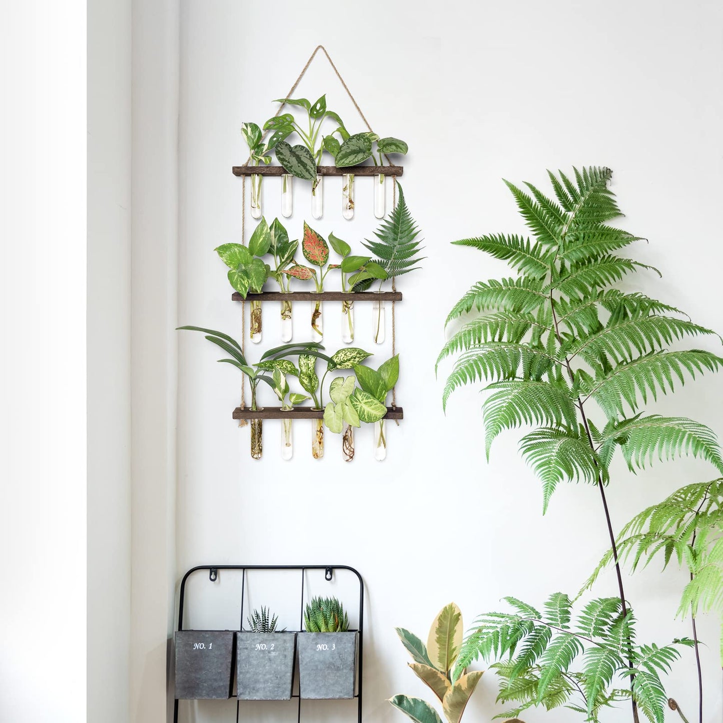 Wall Hanging Plant Propagation Station