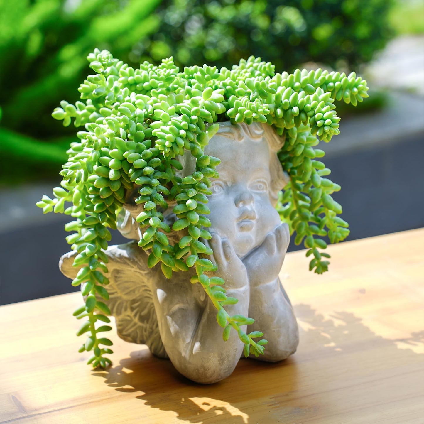 4" Trailing Succulents