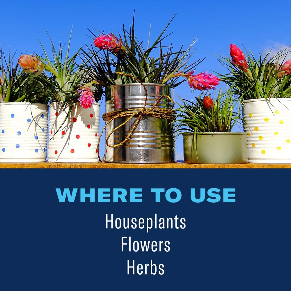 BioAdvanced Houseplant Insect & Mite Control