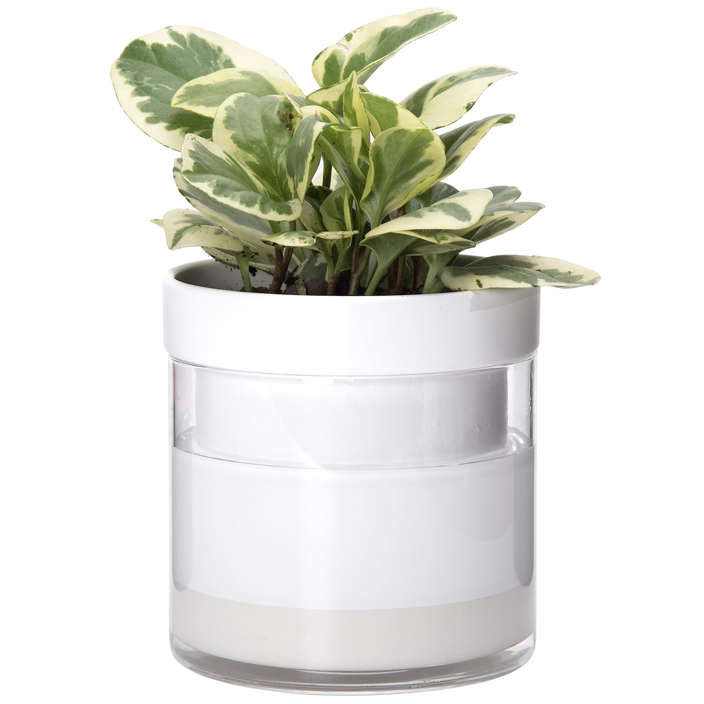Self Watering Planter Pot Terracotta and Glass