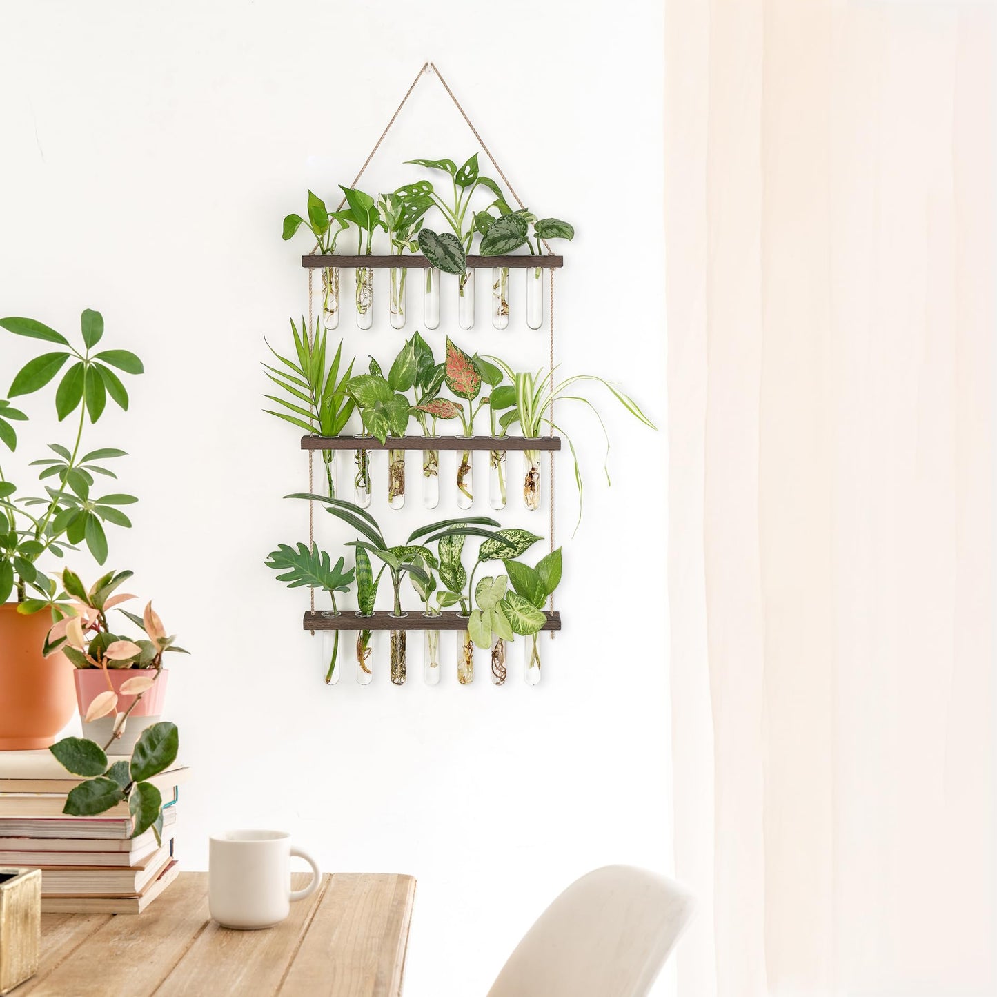 Wall Hanging Plant Propagation Station