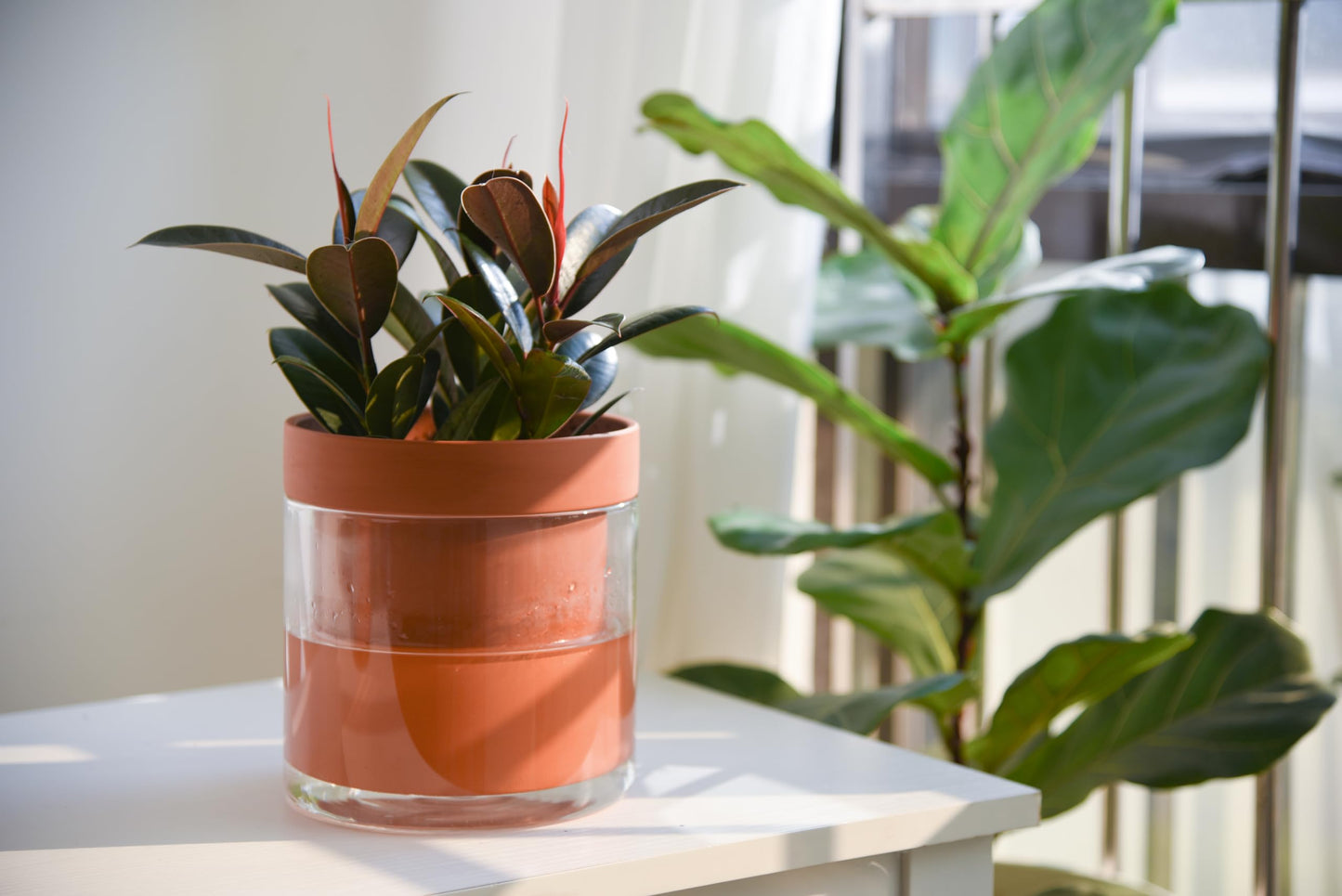 Self Watering Planter Pot Terracotta and Glass