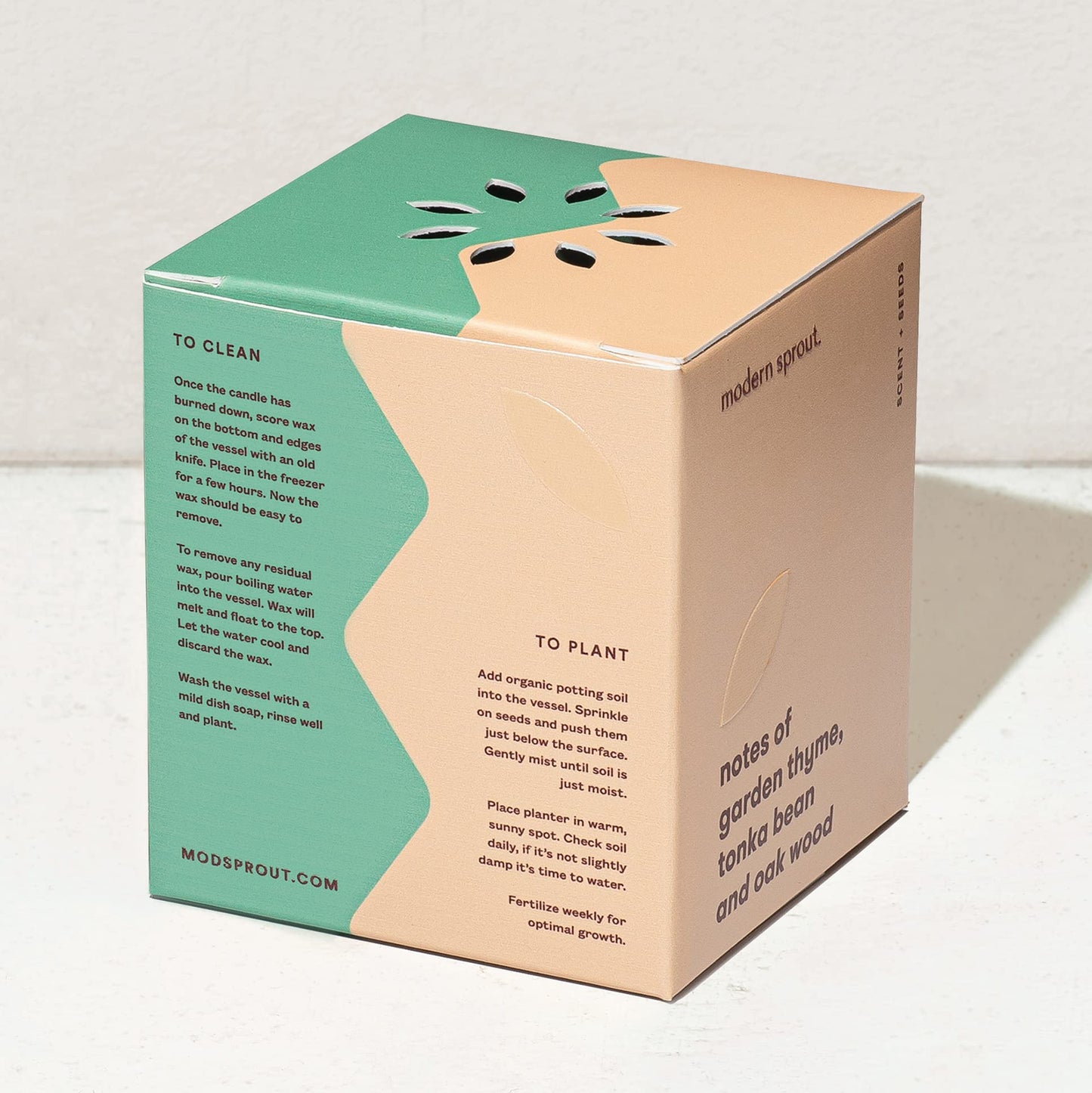 Modern Sprout Rooted Candle - 2 in 1 Scented Soy Candle with Seeds