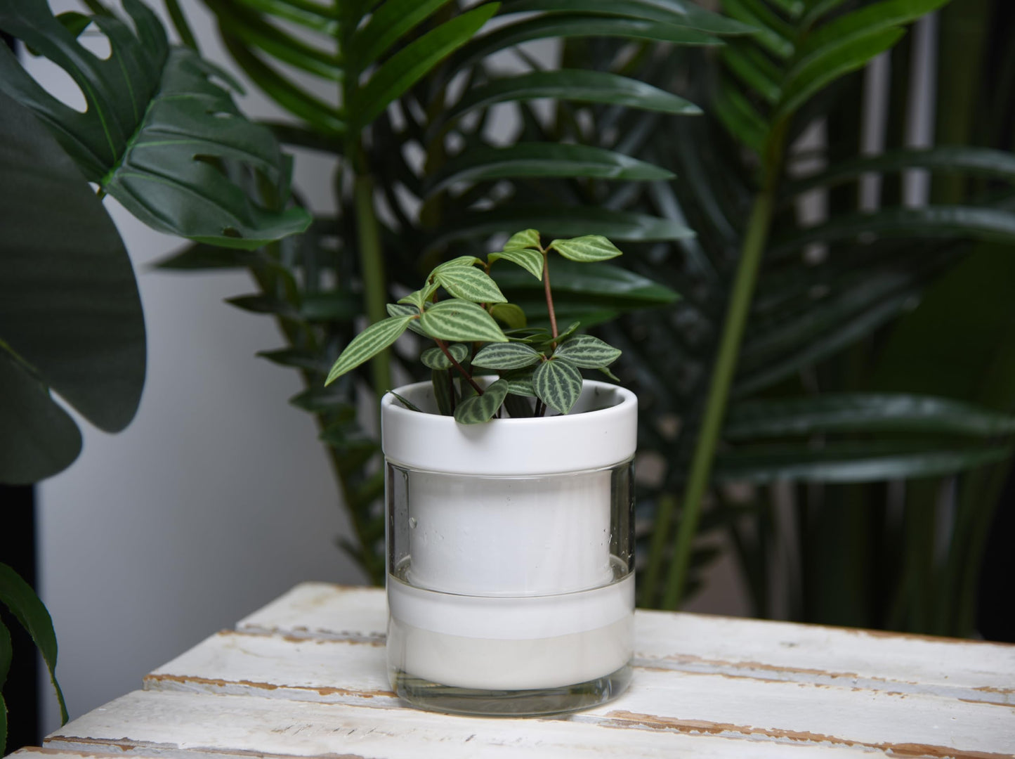 Self Watering Planter Pot Terracotta and Glass
