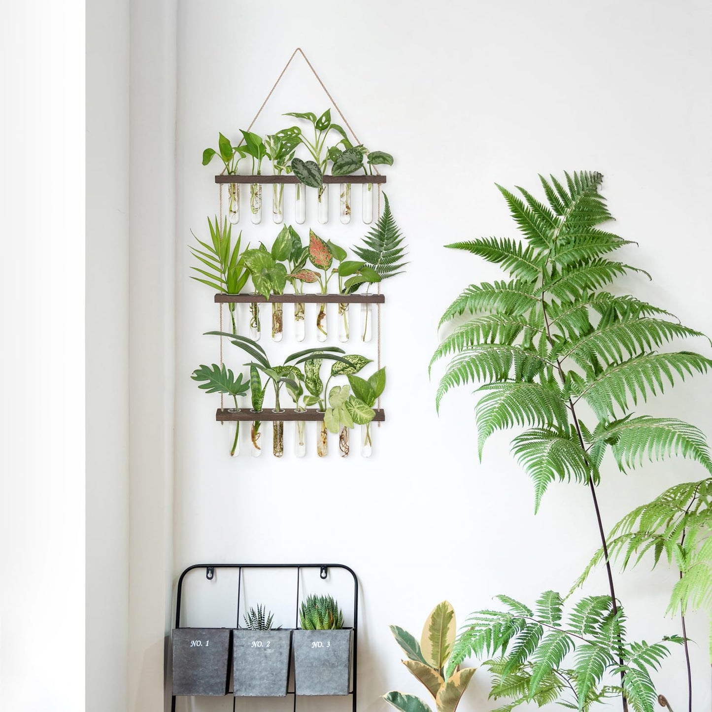 Wall Hanging Plant Propagation Station