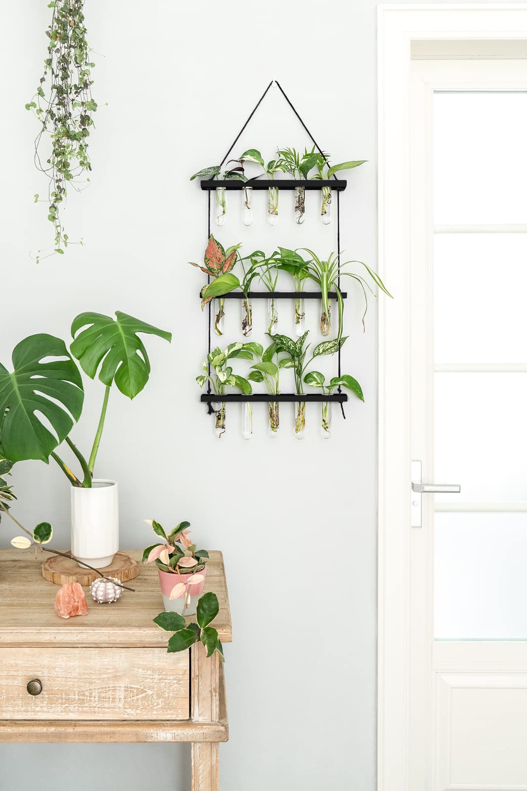 Wall Hanging Plant Propagation Station