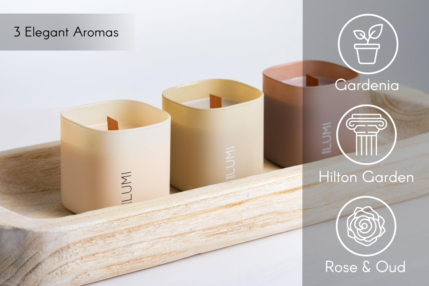 Scented Soy Candles Gift Set | Nature's Bloom Collection | 3 Scented Candles