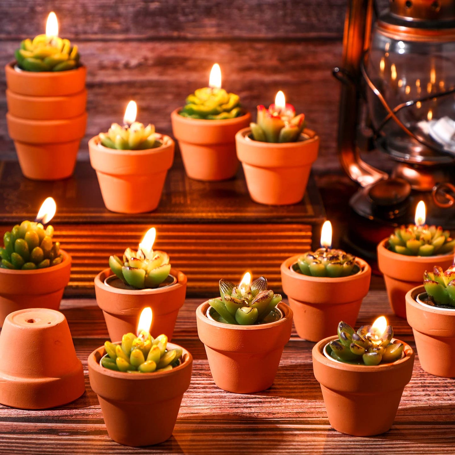 Succulent Cactus 18ea Tealight Candles