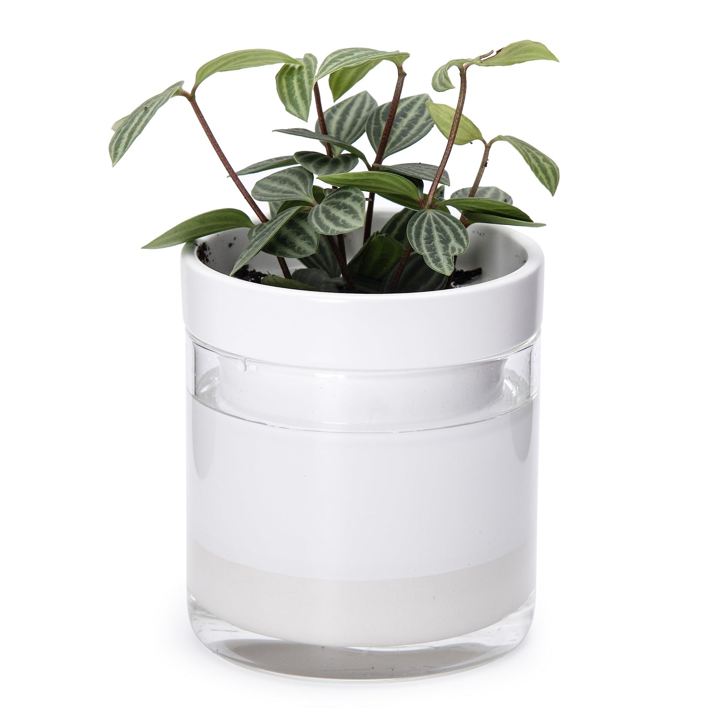 Self Watering Planter Pot Terracotta and Glass