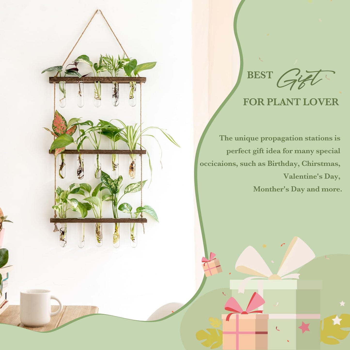 Wall Hanging Plant Propagation Station