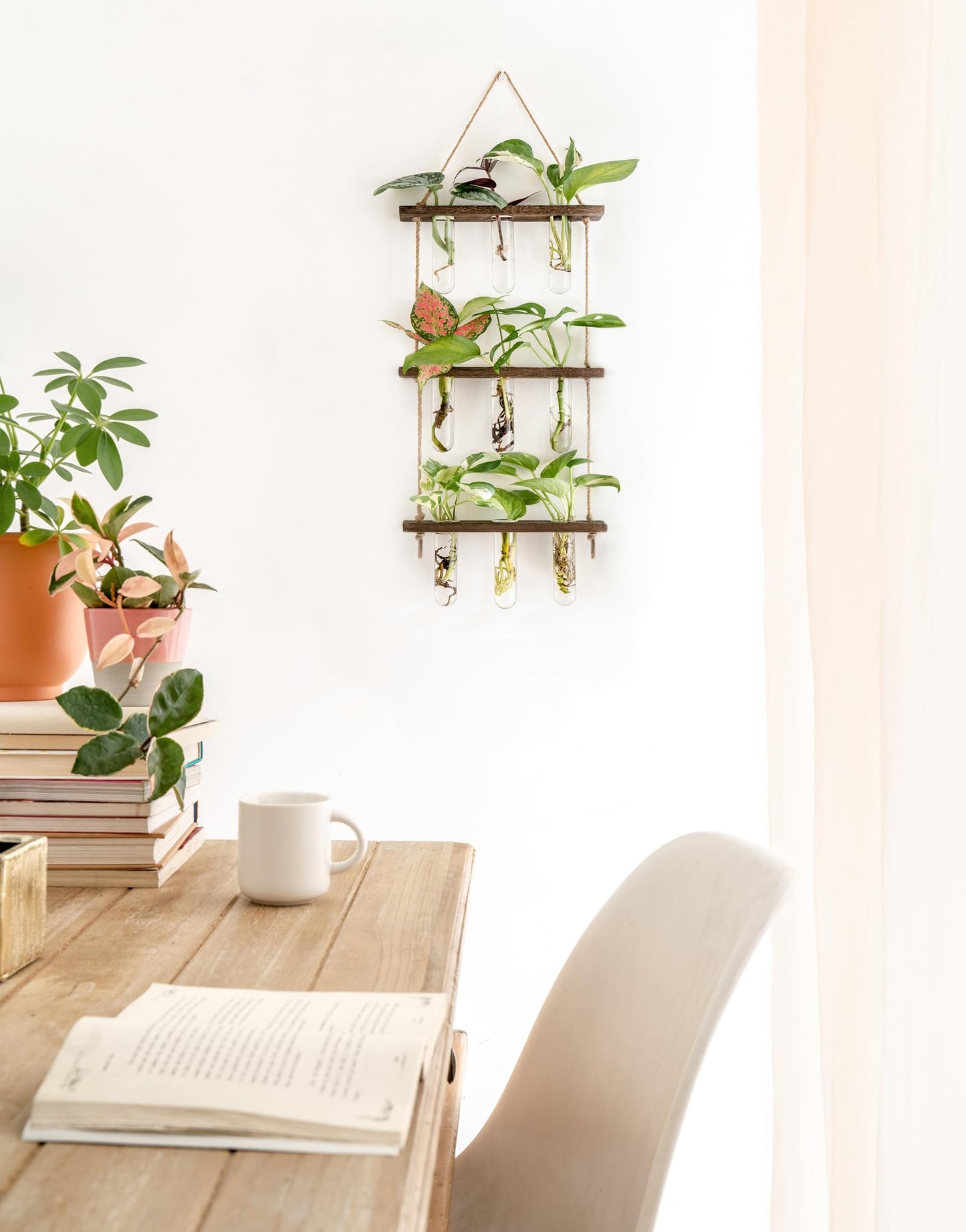 Wall Hanging Plant Propagation Station