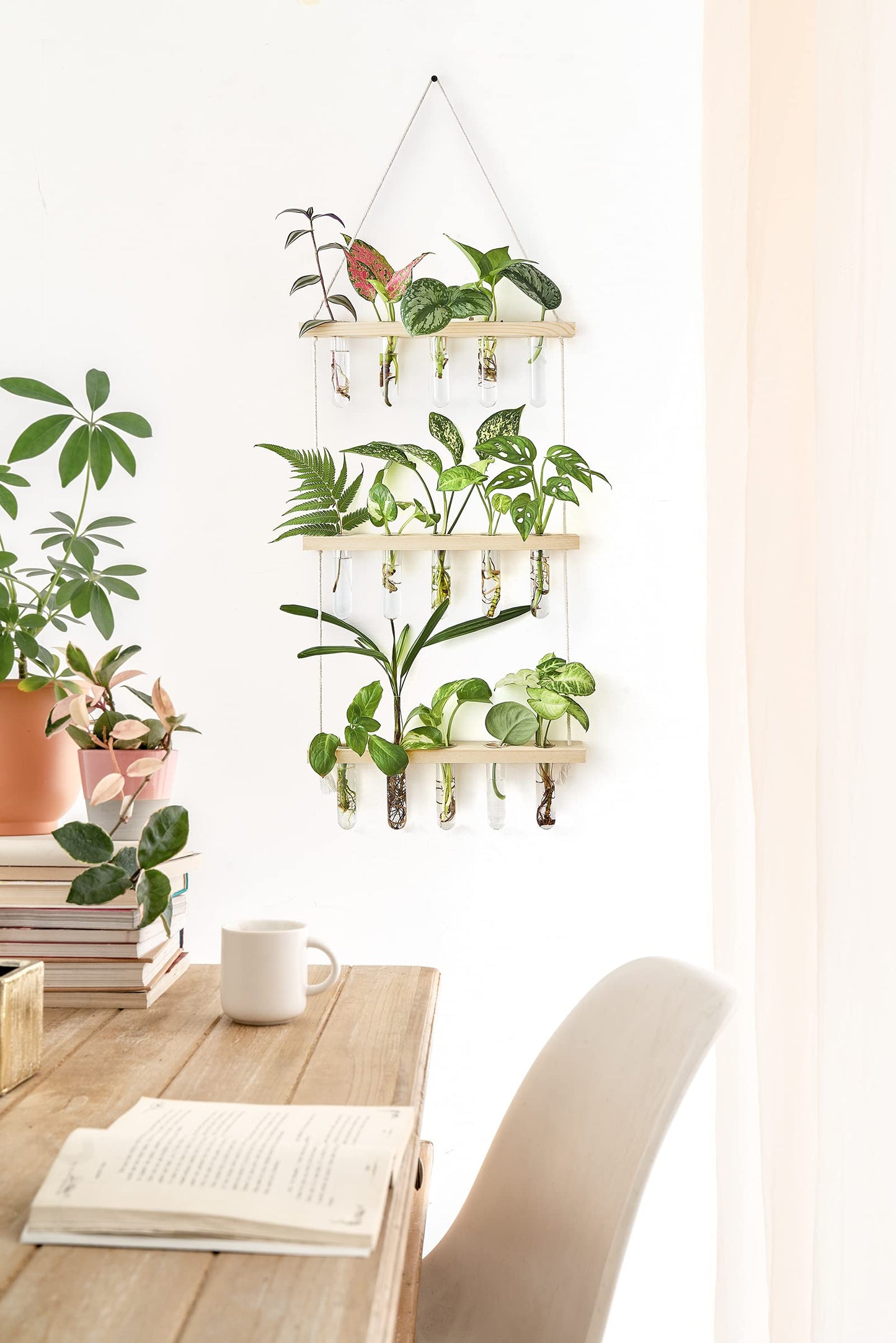 Wall Hanging Plant Propagation Station